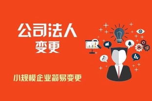 昆明商標注冊代理公司與版權代理服務指南 保護企業知識產權的重要橋梁